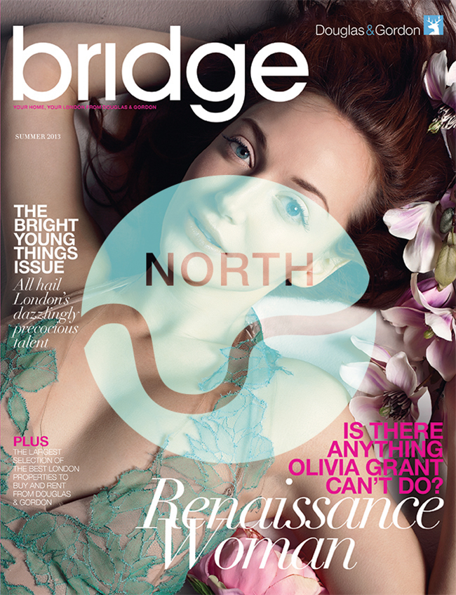 Bridge