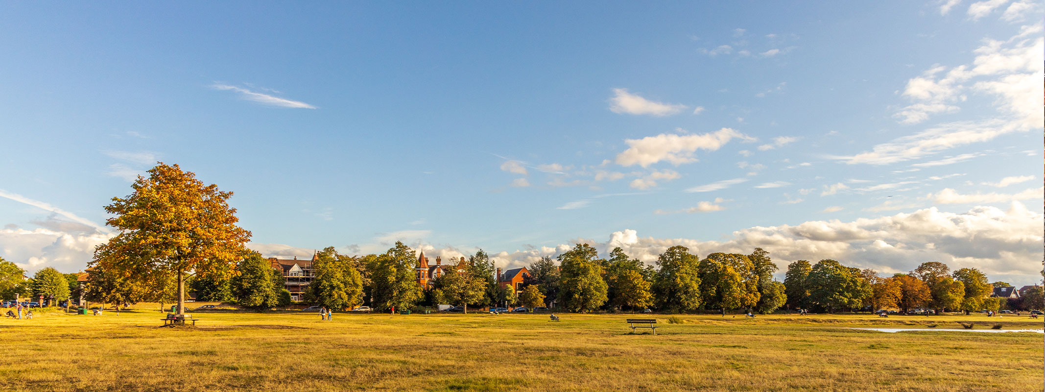 Exploring Southfields A Guide to the Best Things to Do in Southfields